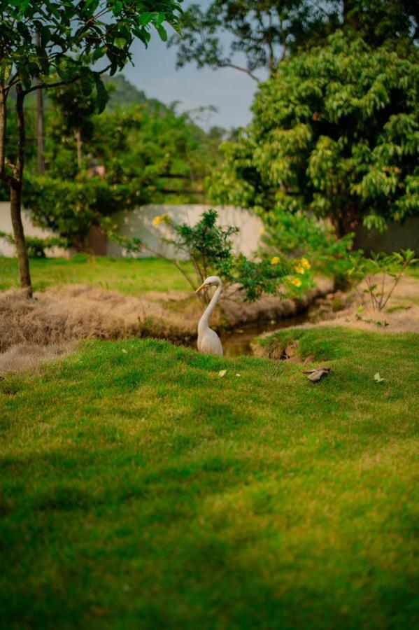 Vythiri Villas Wayanad Exterior foto